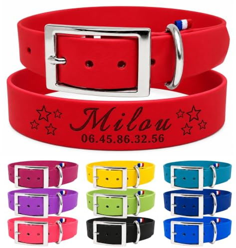 Collier Chien Personnalisé Biothane® - Fait Main en France | TDOG (Rouge) | Gravure prénom + téléphone • Gravé laser Identifié 24h/24: Fini la médaille perdue • Étanche & Résistant • Sport Chasse Rando