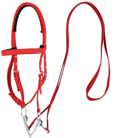Bridas para caballos, cabezal de caballo - Postón de cabeza para el caballo para caballos | Snaffle de banda de cejas ajustable para conducción equina, banda de nariz ecuestre y forrada suave