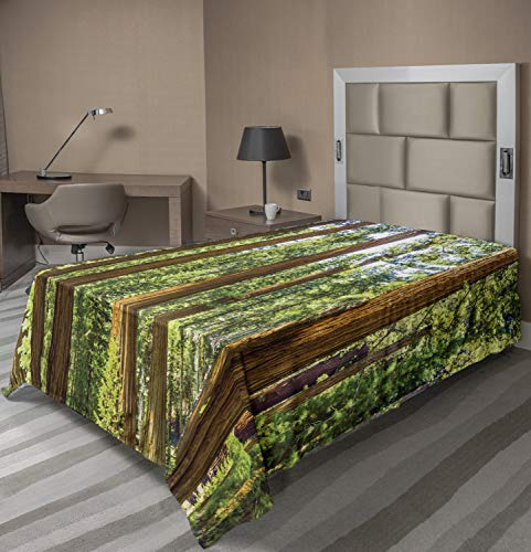 Ambesonne National Parks Flat Sheet, View of Tree Branches in Scenic Springtime Conifers Sequoia Art Prints, Soft Comfortable Top Sheet Decorative Bedding 1 Piece, Twin Size, Green Brown