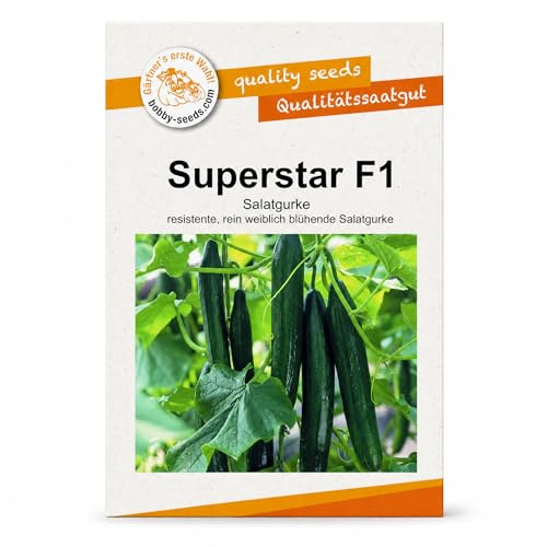 Bobby-Seeds Superstar F1 Salatgurken Samen, ca. 10 Korn, resistente rein weiblich blühende Gurkensorte für Gewächshaus & Folienanbau