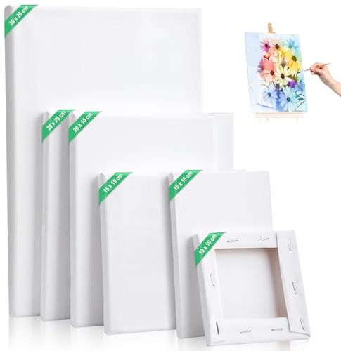 Kigniote Leinwand Set, 6 Stück Leinwand zum Bemalen 30x20,20x20,20x15,15x15,15x10, 10x10cm Keilrahmen Weiß Malen Canvas Künstlertafelbilder für Ölgemälde Acryl Leinwandpaneele für Bastler und Künstler