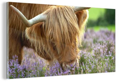 MuchoWow Glasbild Glasfoto Wandbild Bilder Deko 160x80 cm Schottische Highlander - Gras - Heidekraut - Tiere