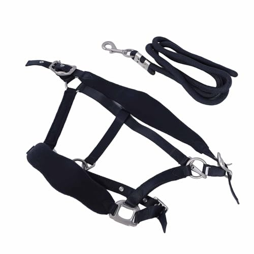 Fabater Pferdetrainingshalfter, Bequemer und Sicherer Verstellbarer Pferdehalftergurt für das Training (S)