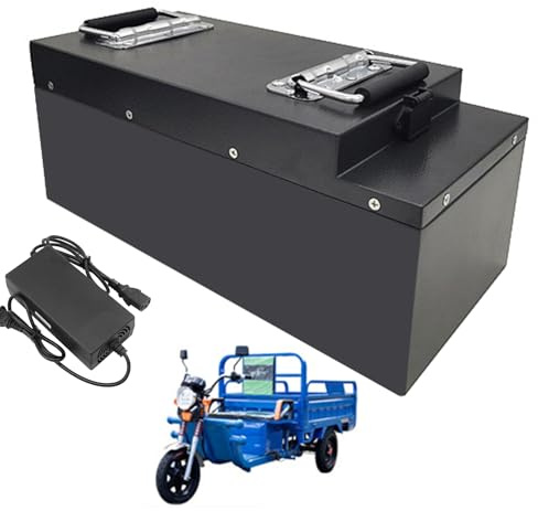 WSDAV Batería para Triciclo eléctrico de 48V, 60V y 72V, de Iones de Litio, de 35AH, 40AH, 50AH, 75AH y 100AH ​​para Motores de 0 a 4800W con Cargador.,60v40ah