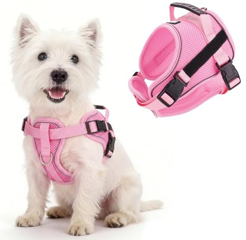 AIITLE Reflektierendes Hundegeschirr mit Griff, kein Ziehen, weich, bequem, für jedes Wetter, Netzgewebe, atmungsaktiv, verstellbar, Welpengeschirr für kleine, mittelgroße Hunde (Rosa, M)