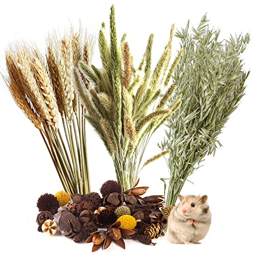 Natural Grain Flower&Herb Hamster Habitat Cage Accessories Bedding Decor | Natural Ear of Grain Flower&Herb Bedding Mate Habitat Decor, Adding Fun Hamster Accessories for Hamsters Gerbils Lemming