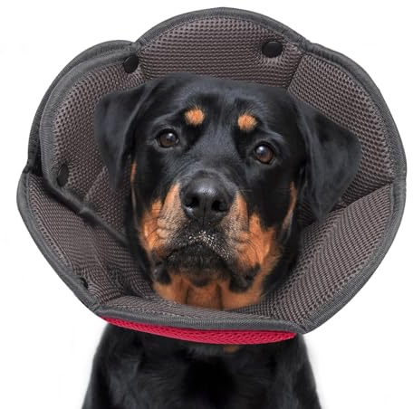 Collare Elisabettiano per Cane Gatto,Collare A Cono Per Cani Morbido,Coni Collare Protettivo Ferite Recupero Guarigione Postoperatorio Collare Anti Morso o Leccato Dopo Intervento Chirurgico -L