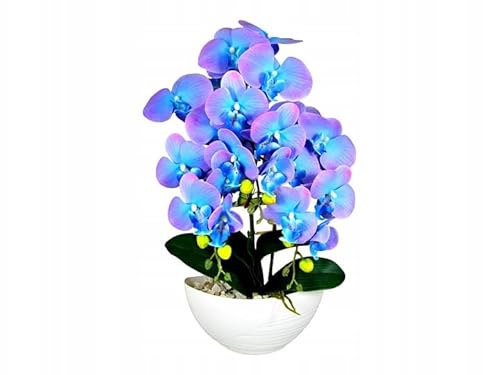 Generisch Künstliche Blumen | Künstliche Orchidee im Topf – ca. 60 cm – Realistische Kunstblume – Elegante Deko für Wohnzimmer, Büro & Bad, Latexgummi, schöne, lebendige Farbe - Blau mit Rosa