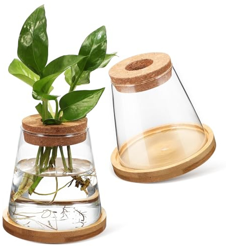 VALICLUD 2Pcs 330Ml Hydroponic Glass Planters for Indoor Plants with Bamboo Stand and Perforated Wooden Stopper, Water Planter Terrarium Vase Set for Home Greenery Decor