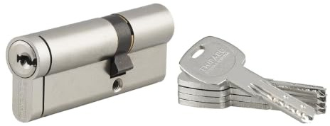 THIRARD Transit 2 Cylindre de serrure double entrée, 30 x 50 mm, Nickel | Protection anti-arrachement, anti-perçage, anti-crochetage, finition nickelée, livré avec 5 clés, usage résidentiel