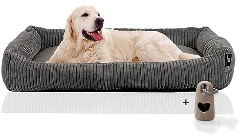 Rohrschneider Hundesofa für Große Hunde | 120x80 cm, Cordstoff, Grau