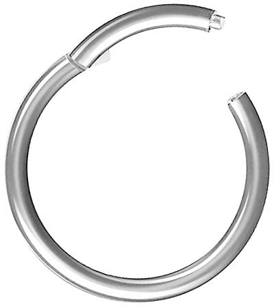 Taffstyle Segment Piercing Titan mit Scharnier für Septum Tragus Helix Nase Lippe Ohr Intim
