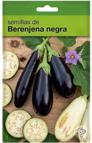 DECOALIVE Berenjena Negra en Semillas para Producción Casera en Jardín Soleado o Terraza