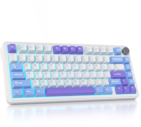 SbocKeeb M75 Clavier Mécanique sans Fil avec Knob, Compact 75% RVB Clavier Gamer Mécanique Jeu Remplaçable à Chaud BT5.0/2.4G/USB with Creamy Interrupteur-5 Mousses Insonorisantes - Amrican QWERTY