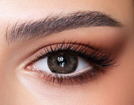 BELLA 1-DAY farbige Kontaktlinsen ASH BROWN (Dioptrien -0.00) – 10x stark deckende Tageslinsen, Natürliche Farblinsen in Anthrazit-Braun, perfekt für dunkle Augen, ohne Stärke