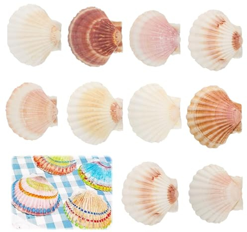 Yuqilin 10 Stück Große Größe ca 10-12 cm Muschelschale Muscheln Groß Jakobsmuschel Natürliche Muschelschale Jakobsmuschel Tasche Küche Dekoration Handwerk Vorspeise Teller Snack Dekoration