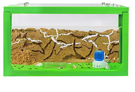 AntHouse - Fourmilière Naturelle en Sable | Kit Commencement 3D 20x10x10 cm Vert | Fourmis Incluses