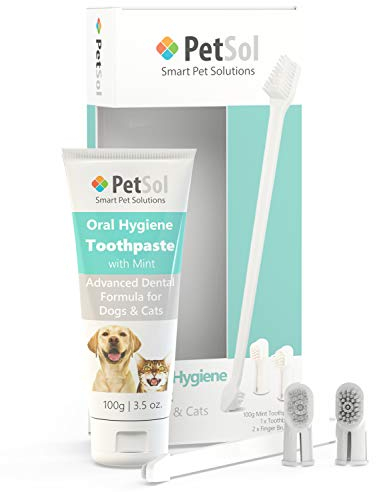 PetSol Dental Care Kit for Dogs & Cats Toothpaste (100g) with 3 x Toothbrushes to Clean Pet's Teeth, Remove Plaque and Tartar, Improve Gum and Tooth Health & Pet Oral Hygiene