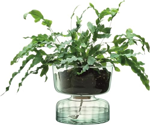 LSA Canopy Self Watering Planter H13cm Recycled/Part Optic | 1 unit | Recycled Glass | CQ15