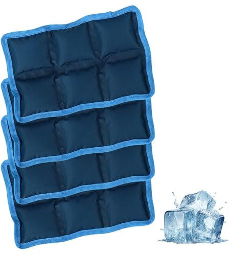 Lyreh 4uds Bolsas Hielo Reutilizables, Poliéster de Larga Duración Caja Almuerzo Bolsa Hielo Ideales para Aventuras Pesca Camping Escalada Actividades Al Aire Libre (Azul)