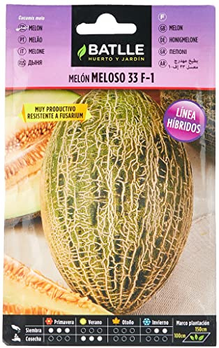 Semillas Batlle Melon hibrido MELOSO 33 F-1