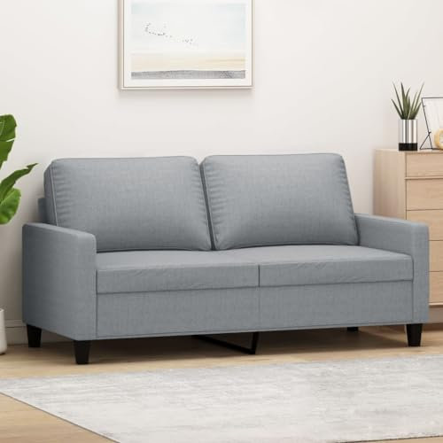 SECOLI Sofa 2 sitzer Sofa 2er Sofa 2 sitzer Stoff Couch 2 sitzer 2er Couch Sofa klein Stoff Sofa für Wohnzimmer/Schlafzimmer/Büro/Wohnung-Hellgrau-2-sitzer:140cm