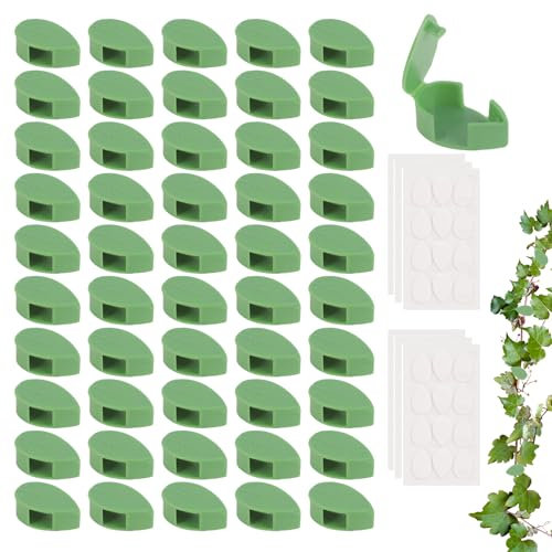 Windfromort 50 Stück Pflanzenclips - Selbstklebende Pflanzenstützung Clips - Rankenclips für Pflanzenhalter Wand, Kletterpflanzen Halter für Garten, Pflanzen, Kabel und zur Wandbefestigung