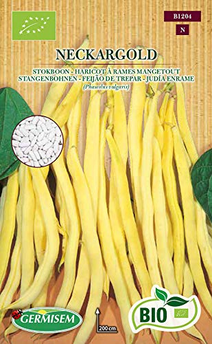 Germisem Biologico Neckargold Semi di Fagioli Francesi 80 g