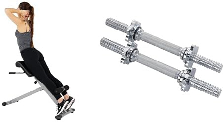 Sunny Health and Fitness 45 Degree Hyperextension Roman Chair, Steel, Grey, One Size + 35.5 cm Threaded Chrome Dumbbell Bar