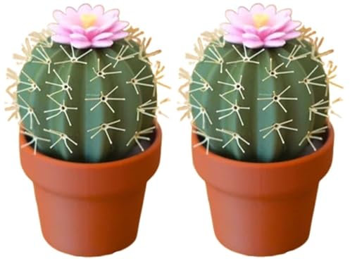 Salière et poivrière en Forme de Cactus, Ensemble de moulins à sel et à Poivre imprimés en 3D, Mini moulins à épices de Cuisine Mignons et Rechargeables, décoration Amusante en Forme de Cactus(2pcs)