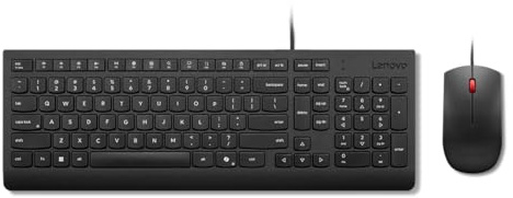 Lenovo Essential Wired Combo - Tastatur-und-Maus-Set - 2,5-Zonen-Layout - USB - QWERTY - US-Englisch - Schwarz - braune Box