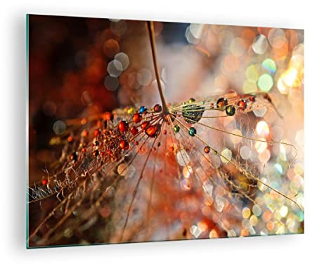 ARTTOR Bilder auf Glas 70x50cm Wandbild Glasdruck Sonstige Natur - 3774 | Spinne Netzwerk Modern Klein Modern Dekoration Wohnzimmer Schlafzimmer Küche Wanddeko Kunstdruck Art Wall Decor ARTTOR