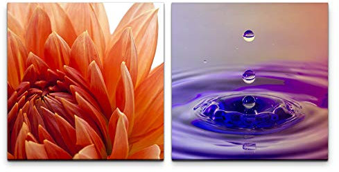 Paul Sinus Art Wandbild 2x60x60cm Blume rote Blüte Wasserperlen Wasser Wassertropfen Momentaufnahme Makrofotografie