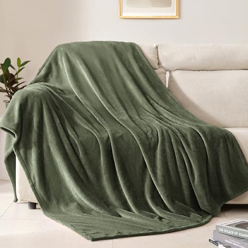 BEAUTEX Fleece Throw Blanket for Couch Sofa Bed Soft Fuzzy Plush