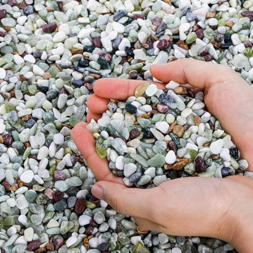 ZENFUN 6 LB Natural Decorative Jade Bean Pebble, 6-9MM Polished Mixed Pebbles Gravel, Outdoor Decorative Stones for Succulent, Aquarium Rocks, Cactus Bonsai, Vase Fillers, Fairy Gardening, Landscaping
