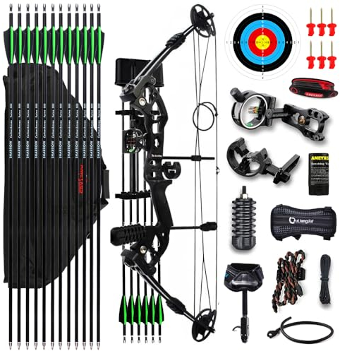 AMEYXGS Bogenschießen Compoundbogen kit Bow und Pfeil Set Jagdbogen 30-55lbs Einstellbare Sportbogen Carbonpfeile Erwachsenen Bogen Außenaufnahmen Rechtshänder (Black)