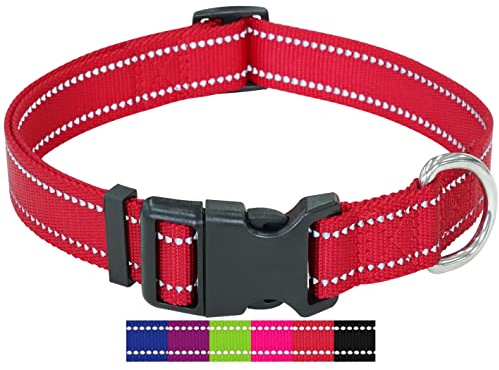 DEY - Premium Hundehalsband Nylon, Reflektierend, Verstellbar, für Kleine u. Große Hunde, viele Farben u. Größen, Hund Welpe, Hunde-Halsbänder, Katzen-Halsband, Welpen-Halsband, Rot, M