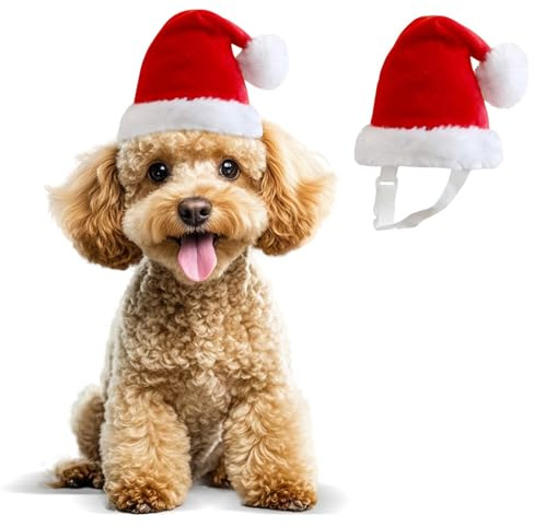 Verstellbare Weihnachtsmütze für Hunde, 3D, für kleine, mittelgroße und große Hunde (Weihnachtsmannmütze, klein)
