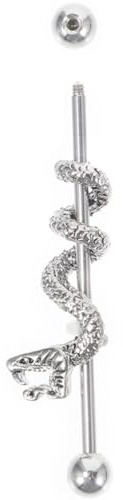 Housoutil Orecchino Materiale Resistente in Acciaio Inossidabile Design Unico Industriale Testa di Drago e Vestibilità Sicura da Donna per Piercing al Padiglione Auricolare e Cartilagine