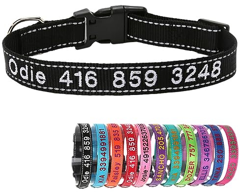 Reflektierend Nylon Hundehalsband Personalisiert mit Individuell Gesticktem Namen und Telefon für Große Mittlere Kleine Hunde Welpe