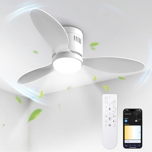 Ventilateur de Plafond avec Lumière, BLITZWILL Ø106cm Ventilateurs de Plafond avec Éclairage LED, Contrôle App&Télécommande, 6 Vitesses, 3 Couleurs Dimmables, 3 Pales, Silencieux, Été-Hiver, Minuterie