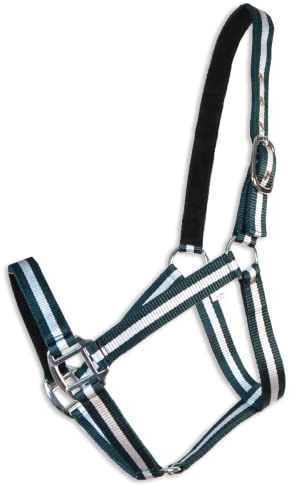 Cabezada cuadra Eco | Talla COB | Color Verde Andalucía | Equipamiento para el caballo | Producto de Guarnicionería | Tradición artesana | Los Nietos