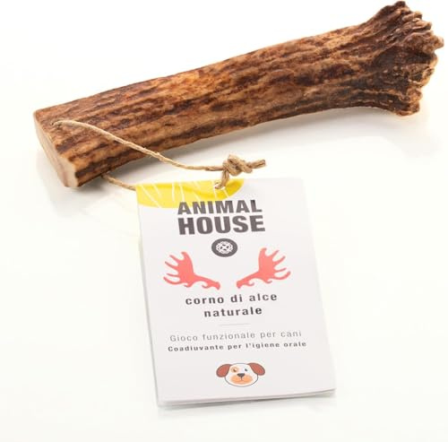 Animal House Corna di Alce per Cani, Masticativo Naturale al 100%, Rafforza Igiene Orale, Resistenti e Duraturi, Disponibili in tutte le taglie (M)