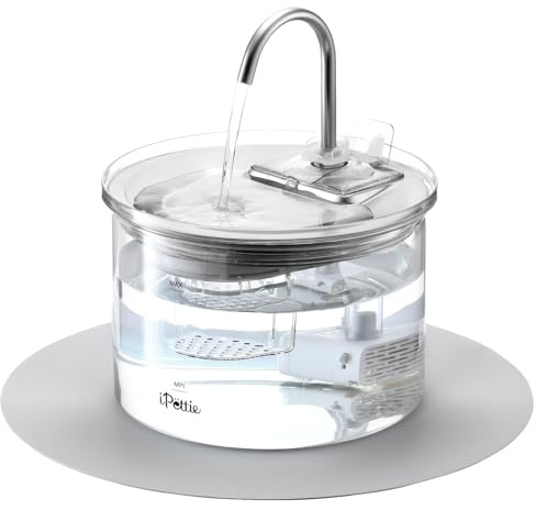 iPettie Glas Katzenbrunnen, 2L/68oz Trinkbrunnen für Katzen und Hunde, mit katzenförmigem Sprühkopf und 2 Aufsätzen, 3-stufige Filterung, automatischer Wasserspender, Glas- & Edelstahldesign