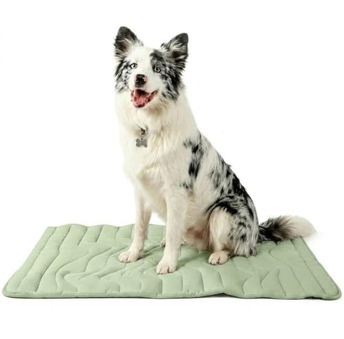 Generisch Kühlmatte Hund Waschbar - Physische Eisseide Hundedecke für Sommer, Auto & Körbe | Softes Kühlpad Ohne Gel | Leichte Atmungsaktive Hundekissen Sommerdecke (Hellgrün,L)