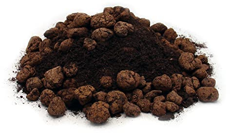 clorophilla. - Terriccio Professionale con Argilla Espansa | 100% Naturale per Piante Ornamentali, Fiori e Aromatiche | pH Neutro, Terreno per Limone | Substrato Multiuso, 4 Litri