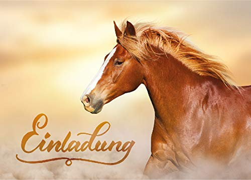 JuNa-Experten 6 Einladungskarten zum Kindergeburtstag Mädchen Pferd Einladungen zum Geburtstag
