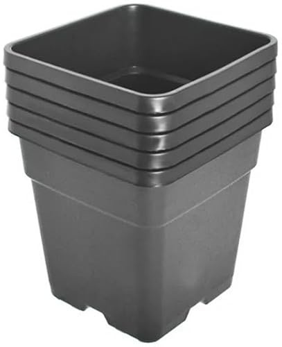 Muddy Hands Pack of 5 Black Plastic Nursery Pots Heavy Duty Outdoor Square Garden Plant Pots With Drainage For Seddlings, Cuttings, Herbs & Flower (25 Litre)
