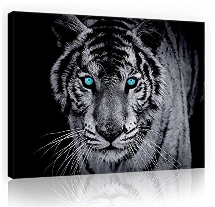 WallArena Leinwandbild Tiger Tiere Schwarz Blau 100x75 cm | für Wohnzimmer, Modern Bilder Groß XXL Wandbild Kunstdruck Wandbilder Canvas Desing Wand Bild auf Leinwand Aufhängefertig