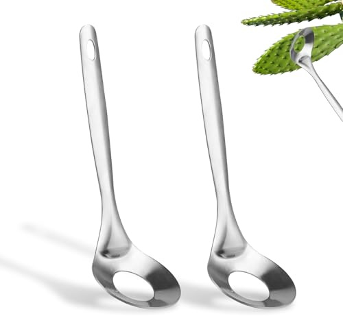 2uds Cuchara Pelador Cactus, Herramienta Pelado Cactus Acero Inoxidable Primera Calidad con Agujero Cuchara Peladora Cactus Cuchara para Hacer Albóndigas Suministros Prácticos Cocina(Plata)